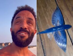 Cantor viraliza com ‘resgate’ de peixe voador nas Maldivas; VEJA VÍDEO