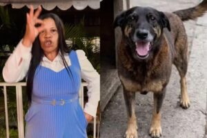 Irmã Mônica profetiza sobre assassinos do cão Orelha: “Vocês vão pagar”