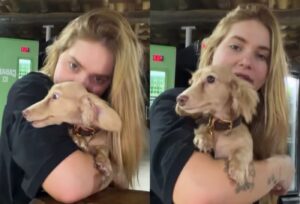 Virginia Fonseca exibe cachorrinha ostentando coleira da Louis Vuitton; saiba valor