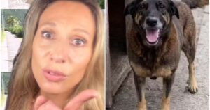 Luisa Mell se revolta com matéria exibida no ‘Fantástico’ sobre cão Orelha; entenda