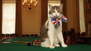 Conheça o gato que completa 15 anos como guardião da residência do governo britânico