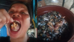 Influenciadora morre após ingerir crustáceo venenoso durante gravação de vídeo