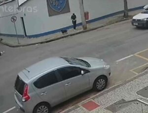 Pitbull solto ataca cachorro e fere tutora; veja vídeo