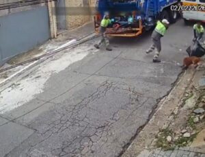 Pitbull escapa de casa e ataca garis no meio da rua; veja VÍDEO