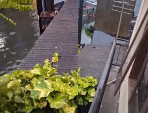 Pítons gigantes aparecem em ruas alagadas durante chuvas torrenciais; VEJA VÍDEO