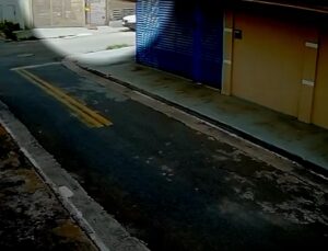 Cão comunitário sofre queimaduras após mulher jogar óleo quente, segundo moradores; VEJA VÍDEO