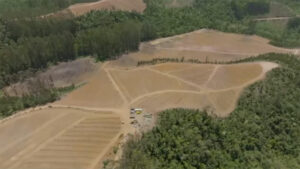 Aos 54 anos, apresentador da Globo tem fazenda com plantação do tamanho de 35 campos de futebol
