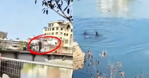 Pai joga o próprio filho de ponte após discussão com a mãe da criança; veja vídeo