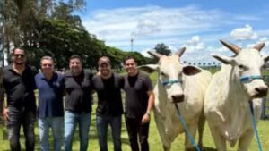 Sucesso na música sertaneja, cantor adquire ‘vaca mais cara do mundo’ por R$ 54 milhões