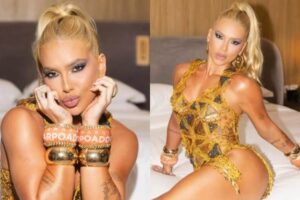 Virgínia revela ansiedade para desfilar na Grande Rio