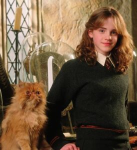 De protagonistas a vilões… Veja alguns gatos da ficção que são inesquecíveis