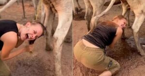 Eca! Influenciadora faz spa com urina de vaca e viraliza na web