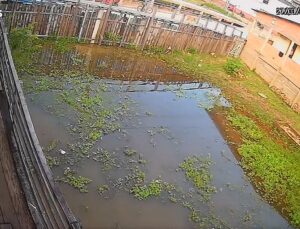 Cadela é empurrada de passarela por ciclista e fica ferida; VEJA VÍDEO