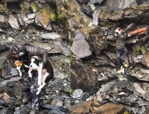 Cadela é resgatada após passar uma semana perdida em floresta; VEJA VÍDEO