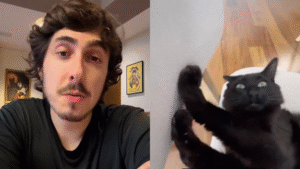 Felipe Castanhari relata perda de gato envenenado em seu aniversário e faz alerta aos internautas: ‘Ironia’