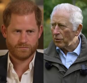 Encontro entre Príncipe Harry e Rei Charles III nos Estados Unidos não deve acontecer, diz revista