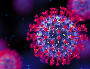 Nova subvariante da Covid-19 está sendo monitorada; VEJA o que se sabe!