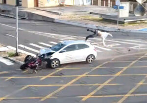 Motociclista morre após ser atropelado por carro em alta velocidade enquanto aguardava semáforo; veja vídeo