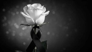 Raiane Santos é morta a facada pelo namorado