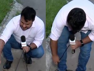 Quatro cachorros atacam microfone de repórter durante jornal; VEJA VÍDEO