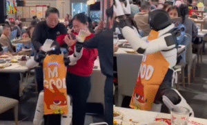 Vídeo: robô perde o controle em restaurante e causa confusão nos EUA